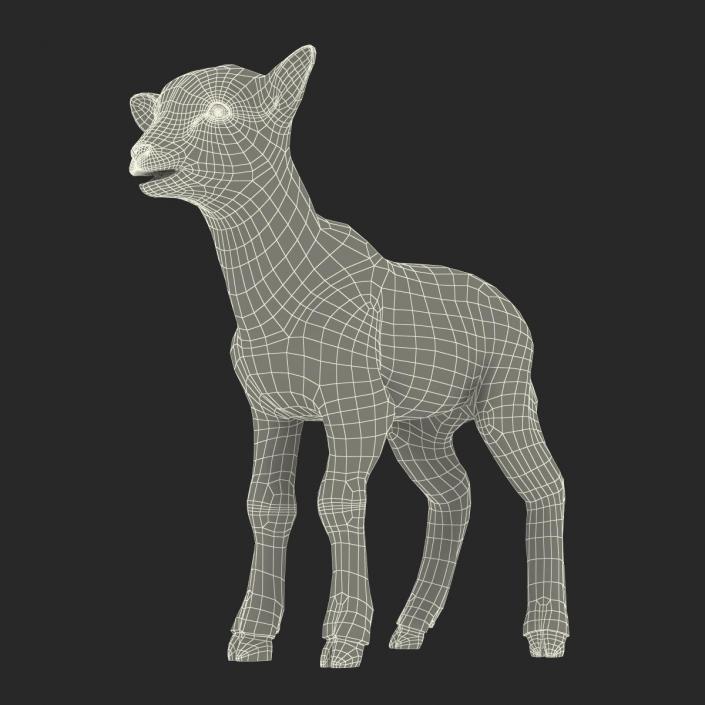 3D model Lamb Rigged with Fur