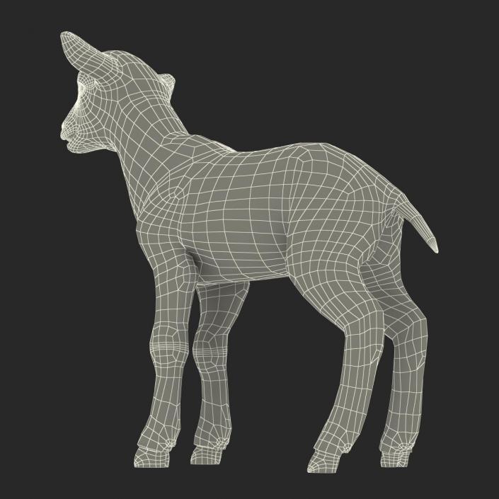 3D model Lamb Rigged with Fur