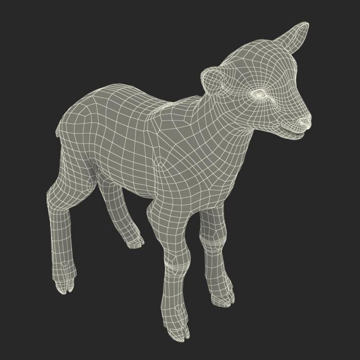 3D model Lamb Rigged with Fur