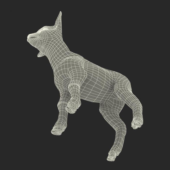 3D model Lamb Rigged with Fur