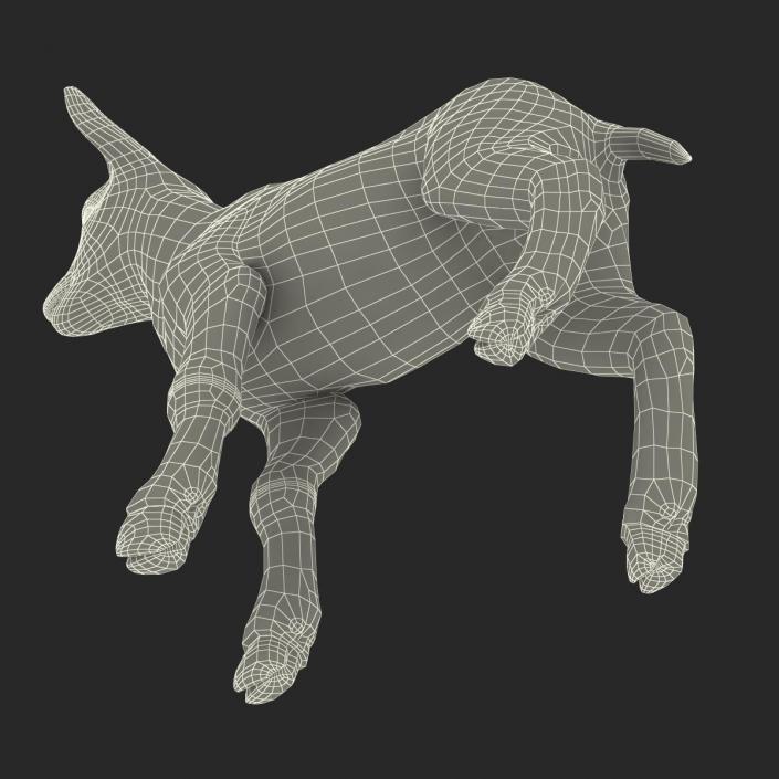 3D model Lamb Rigged with Fur