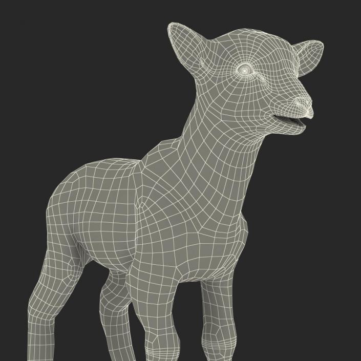 3D model Lamb Rigged with Fur