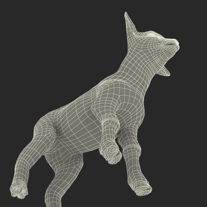 3D model Lamb Rigged with Fur