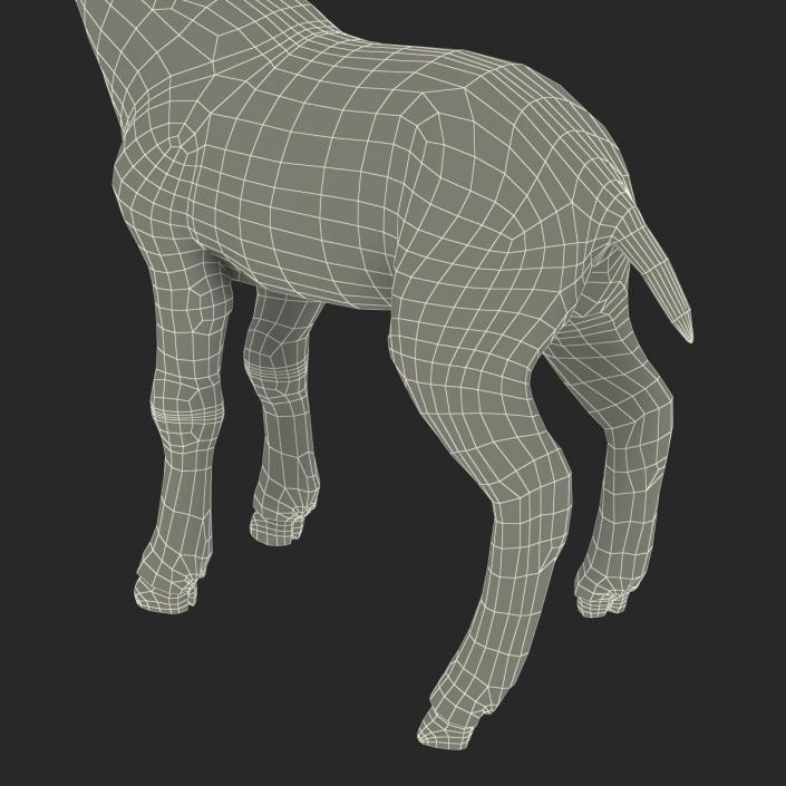 3D model Lamb Rigged with Fur