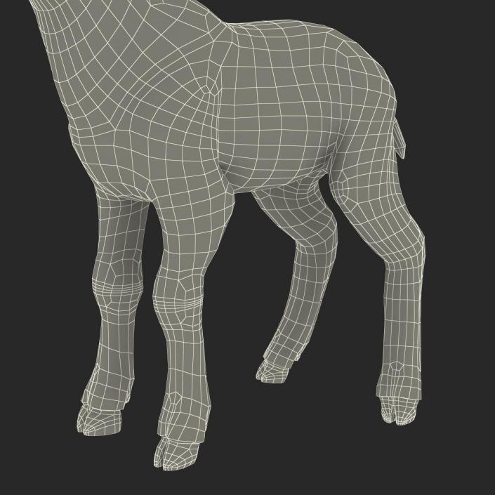 3D model Lamb Rigged with Fur