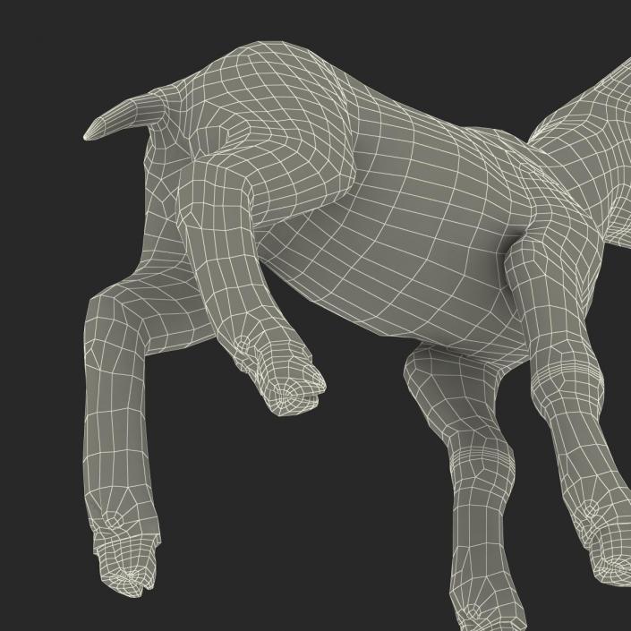 3D model Lamb Rigged with Fur