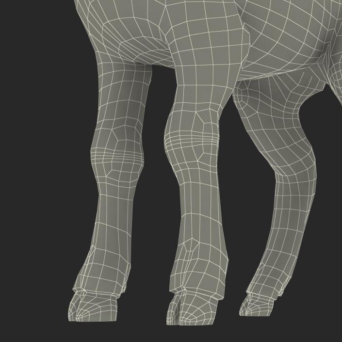 3D model Lamb Rigged with Fur