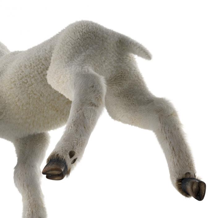 3D model Lamb Pose 2 with Fur