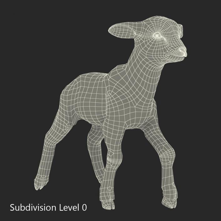 3D model Lamb Pose 2 with Fur