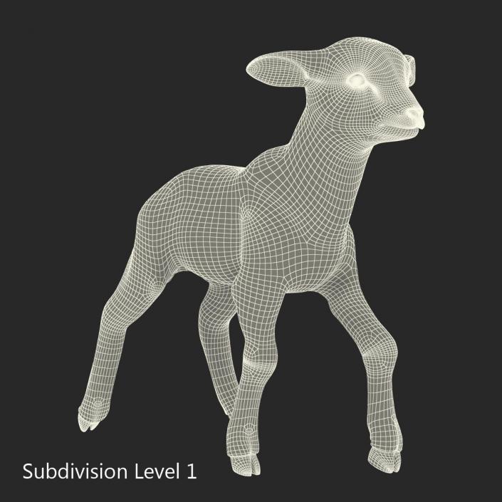 3D model Lamb Pose 2 with Fur