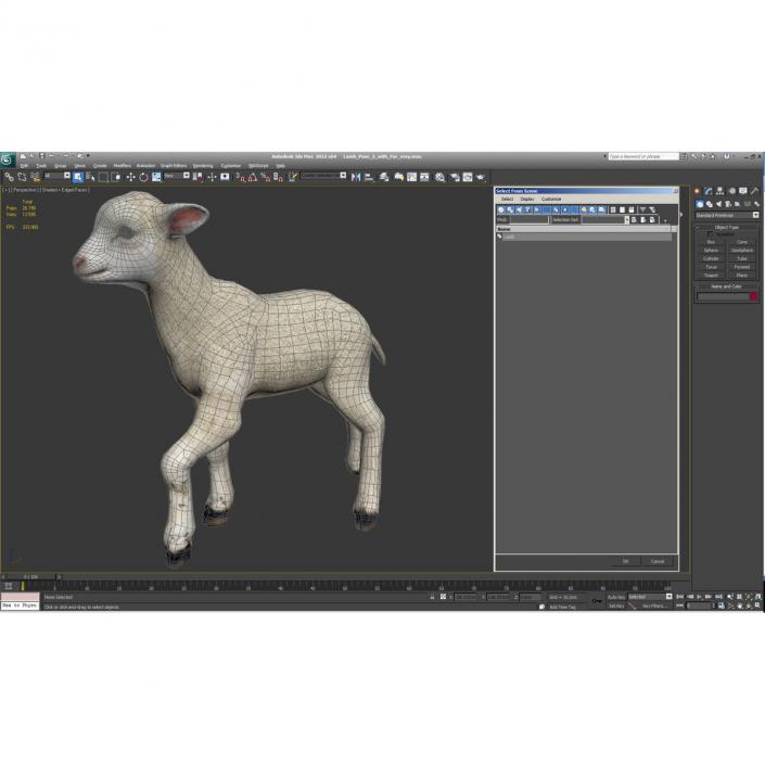 3D model Lamb Pose 2 with Fur