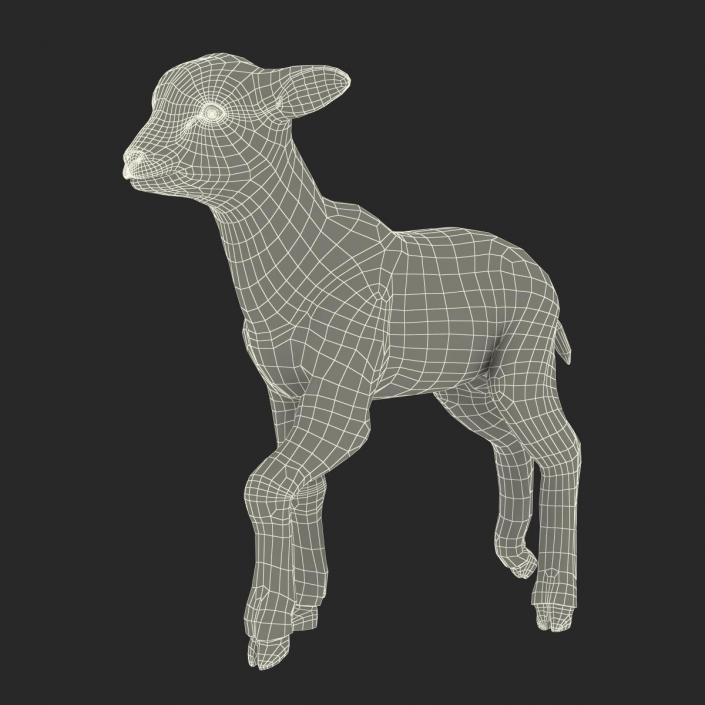 3D model Lamb Pose 2 with Fur