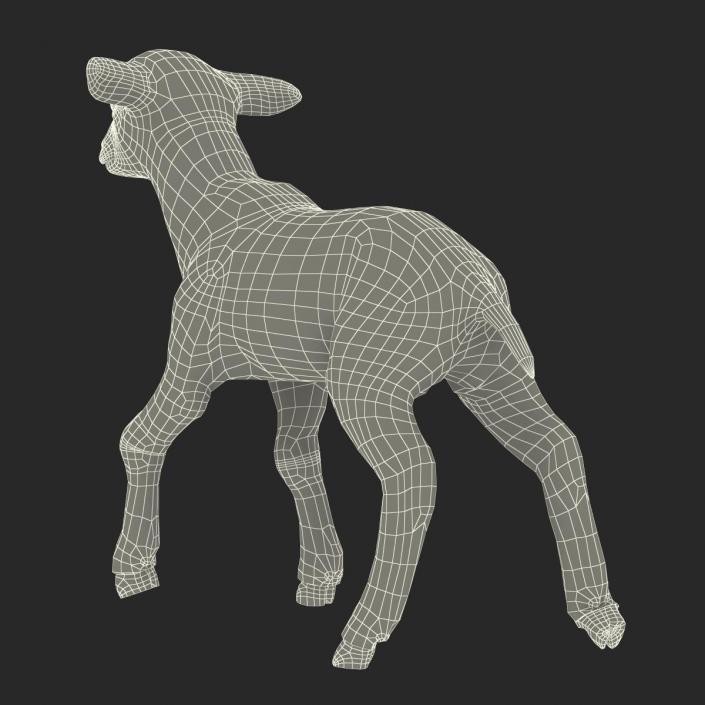 3D model Lamb Pose 2 with Fur