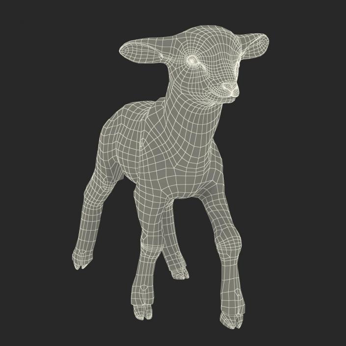 3D model Lamb Pose 2 with Fur