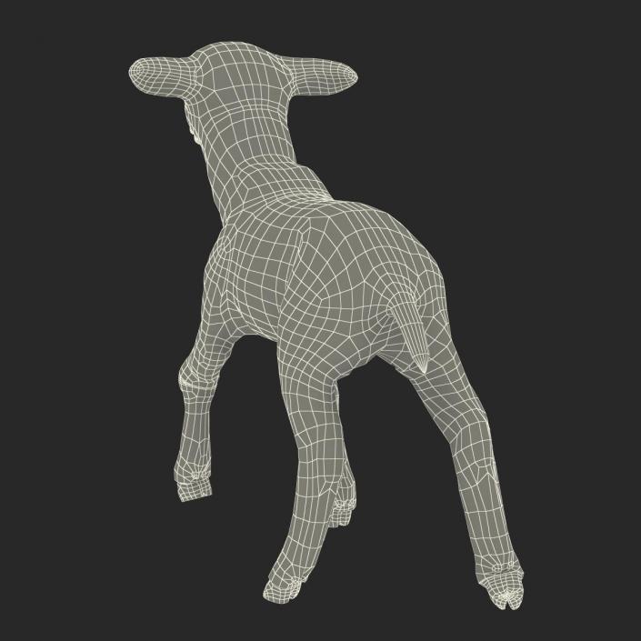 3D model Lamb Pose 2 with Fur