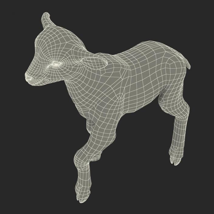 3D model Lamb Pose 2 with Fur