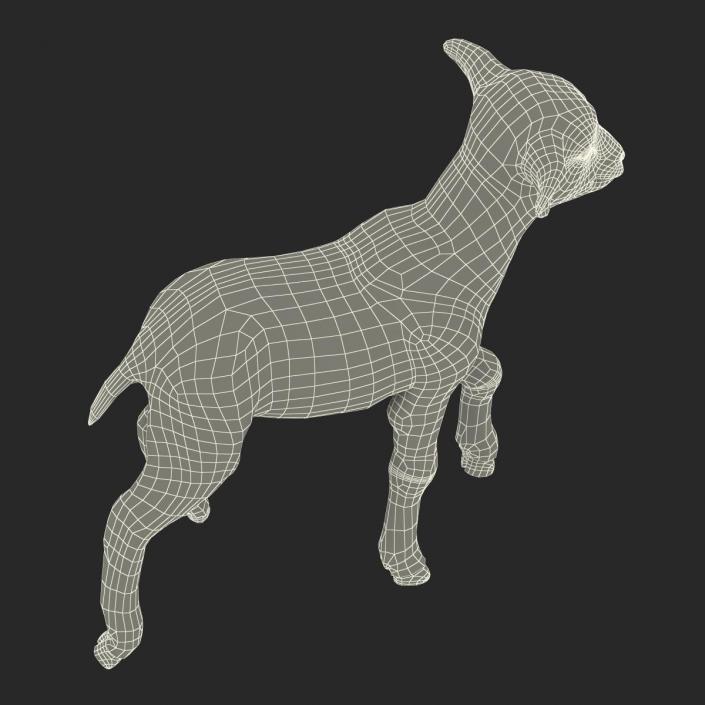 3D model Lamb Pose 2 with Fur