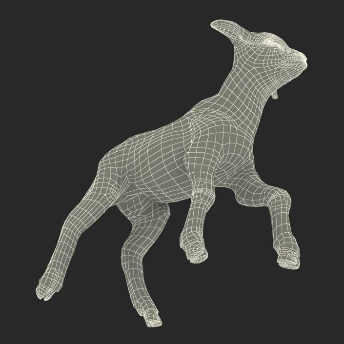 3D model Lamb Pose 2 with Fur