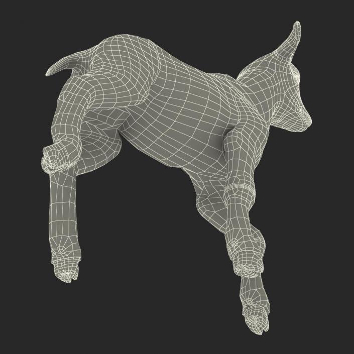 3D model Lamb Pose 2 with Fur