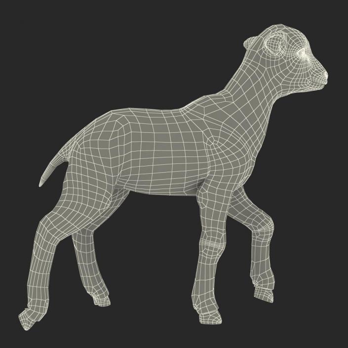 3D model Lamb Pose 2 with Fur