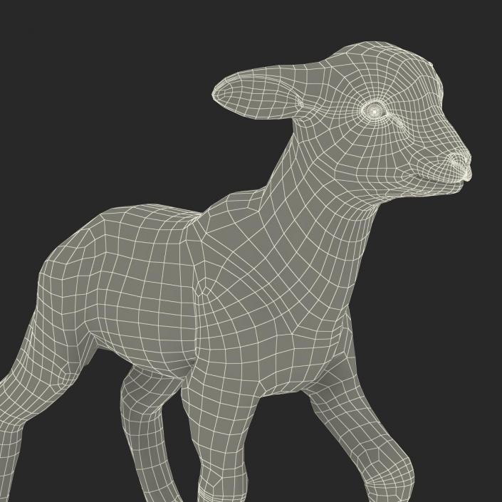 3D model Lamb Pose 2 with Fur