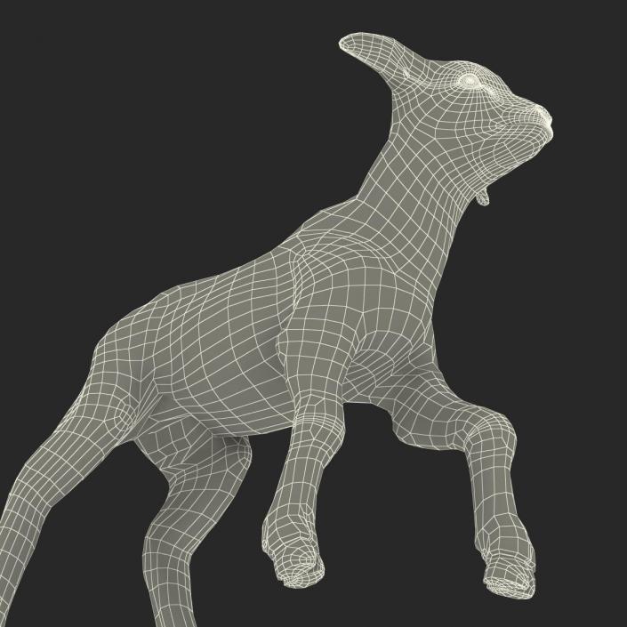 3D model Lamb Pose 2 with Fur