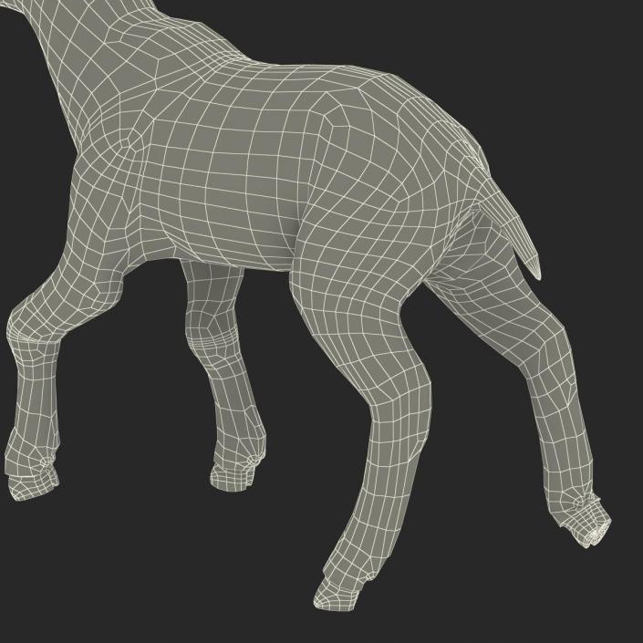 3D model Lamb Pose 2 with Fur