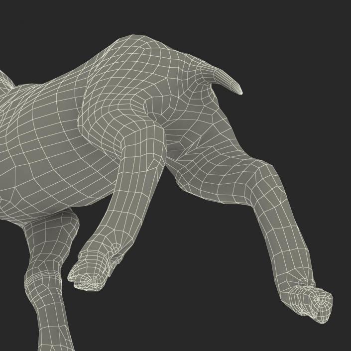 3D model Lamb Pose 2 with Fur