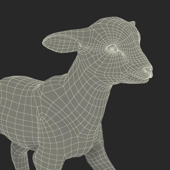 3D model Lamb Pose 2 with Fur