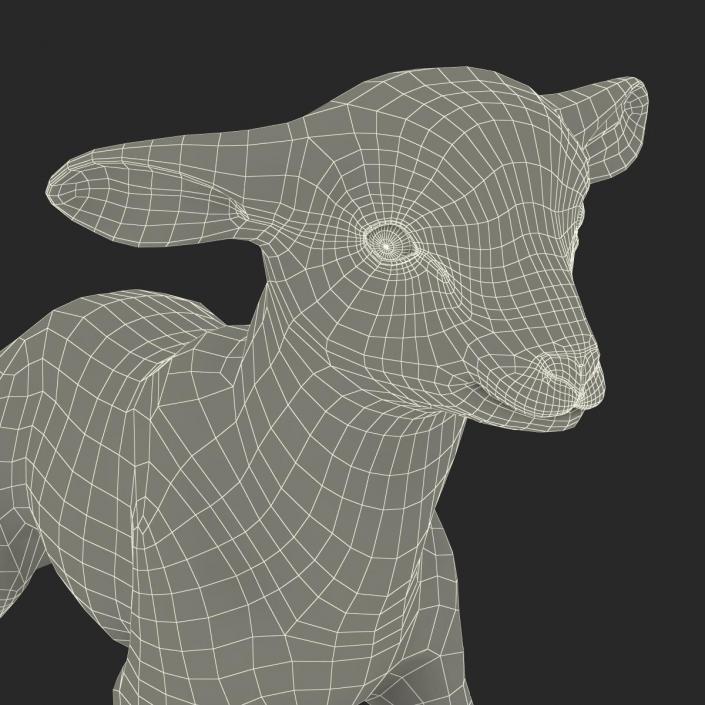 3D model Lamb Pose 2 with Fur