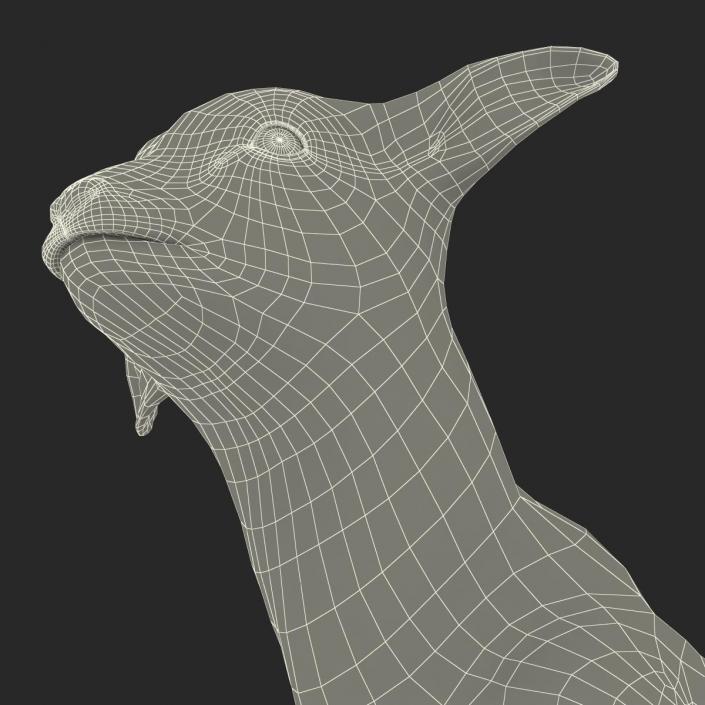 3D model Lamb Pose 2 with Fur