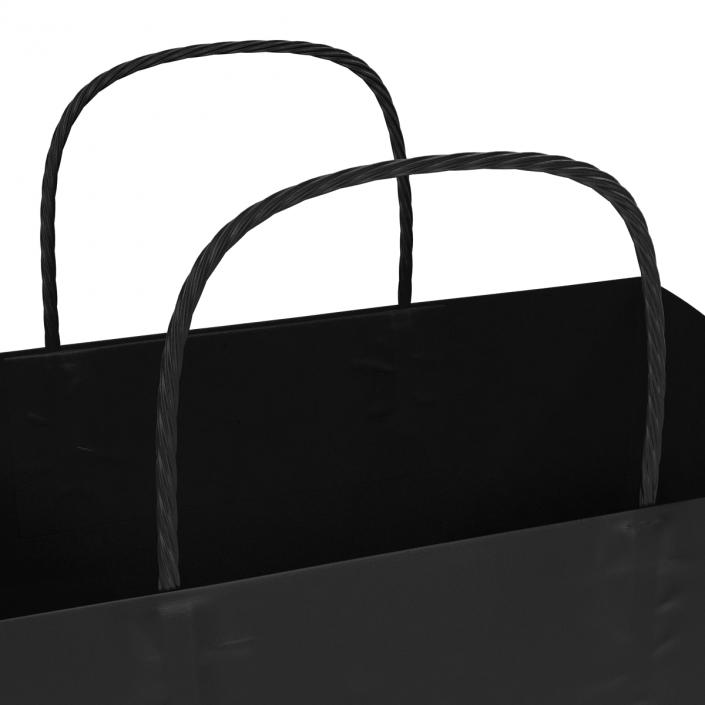 3D To Go Bag with Handles Black model