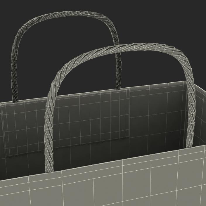 3D To Go Bag with Handles Black model