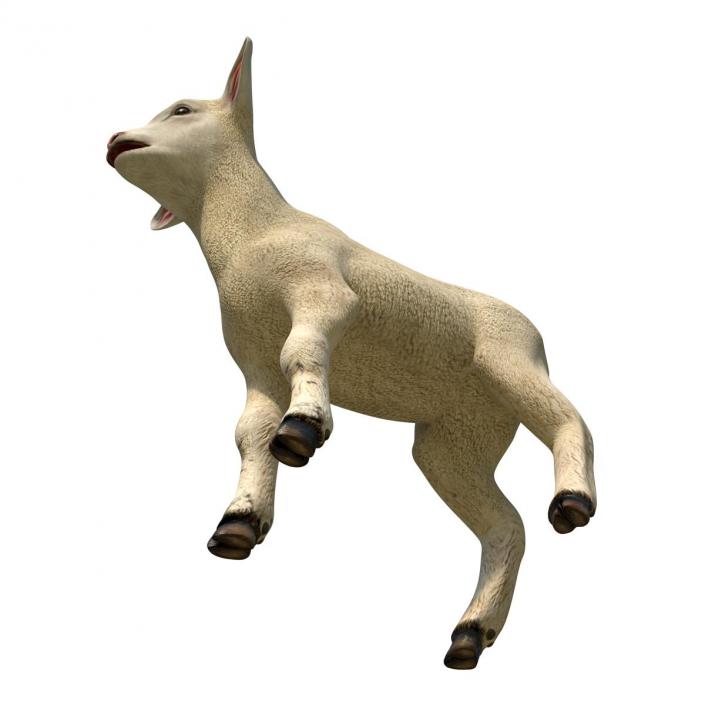 3D model Lamb