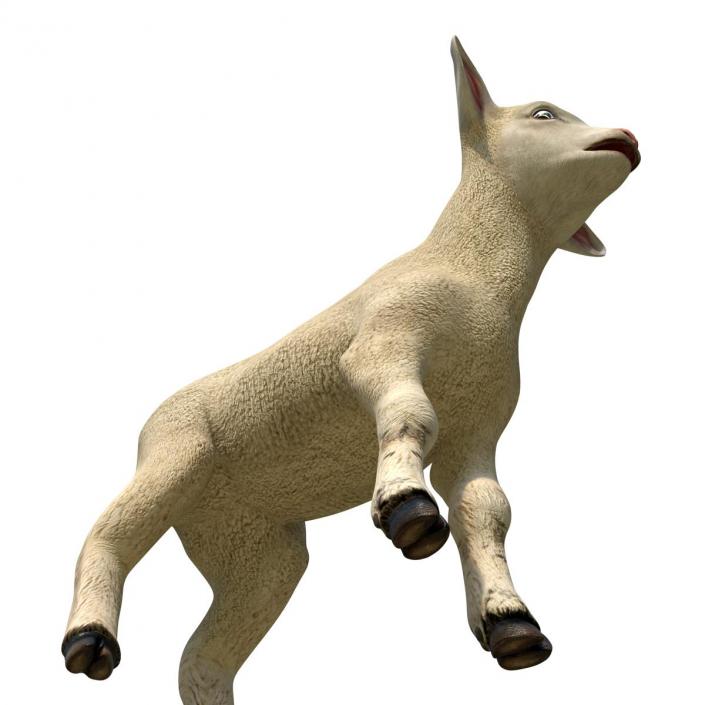 3D model Lamb