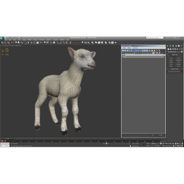 3D model Lamb