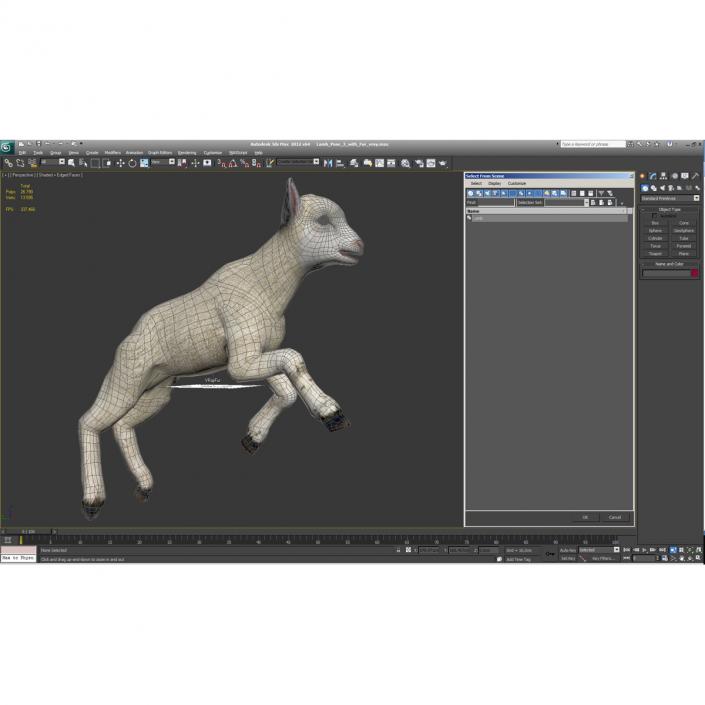 3D model Lamb Pose 3 with Fur