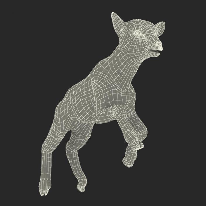 3D model Lamb Pose 3 with Fur