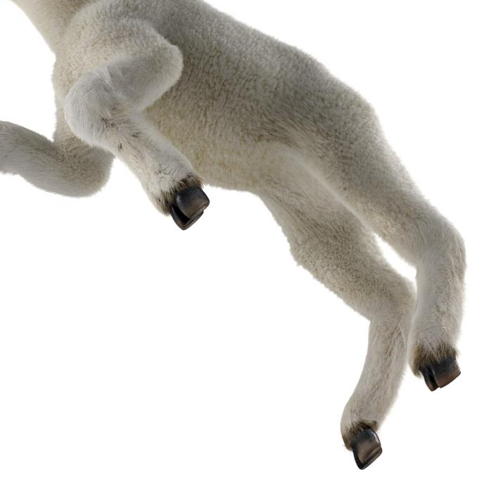 3D model Lamb Pose 3 with Fur