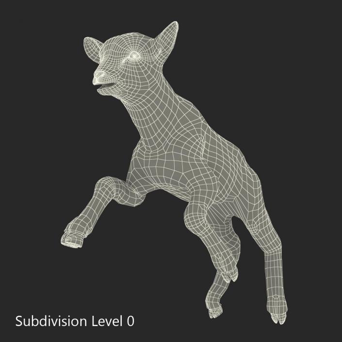 3D model Lamb Pose 3 with Fur