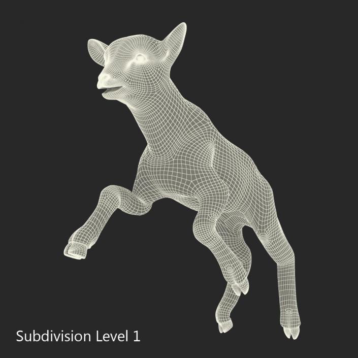 3D model Lamb Pose 3 with Fur