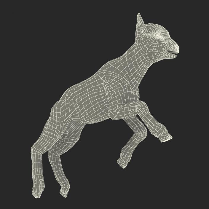 3D model Lamb Pose 3 with Fur