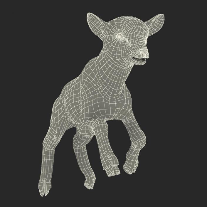 3D model Lamb Pose 3 with Fur