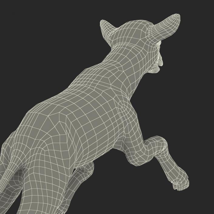 3D model Lamb Pose 3 with Fur