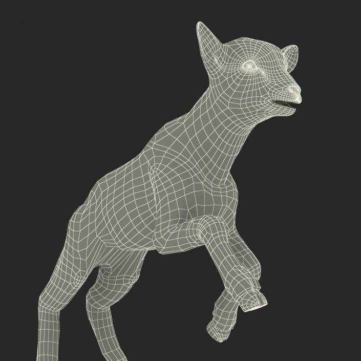 3D model Lamb Pose 3 with Fur