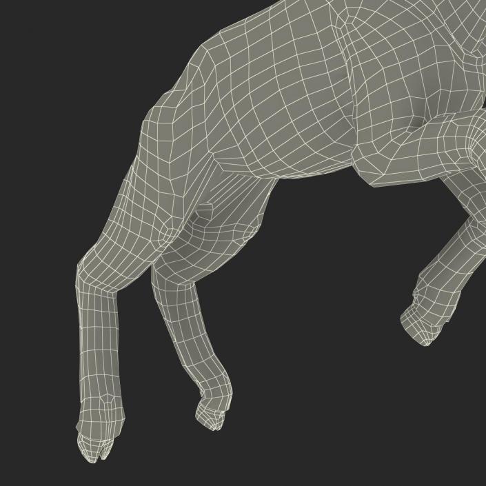 3D model Lamb Pose 3 with Fur