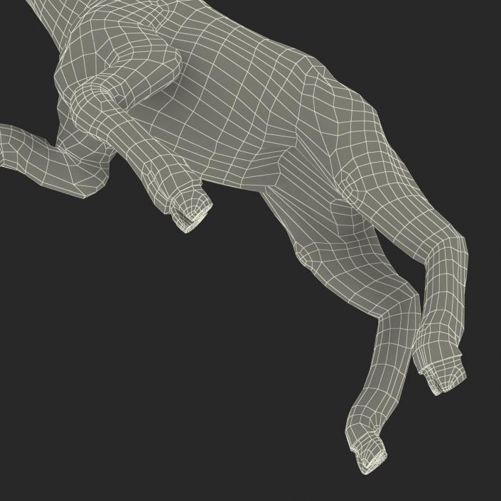 3D model Lamb Pose 3 with Fur