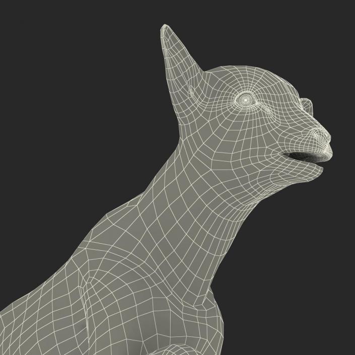 3D model Lamb Pose 3 with Fur