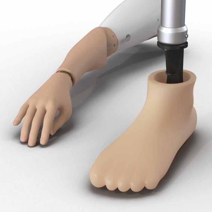 3D model Prosthetic Leg and Arm Rigged Collection