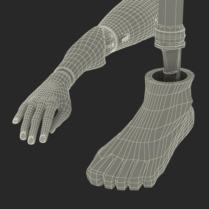 3D model Prosthetic Leg and Arm Rigged Collection